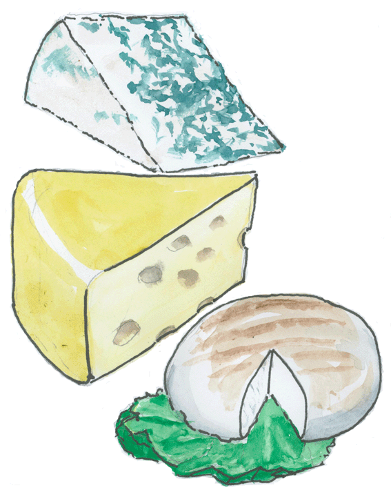 Redskaber og ingredienser til fremstilling af ost