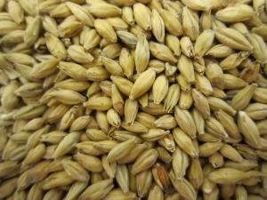 Vienna Malt - 1 kg - Dansk