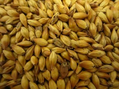 Billede af - Karamel Malt - 1 kg - Dansk - Økologisk
