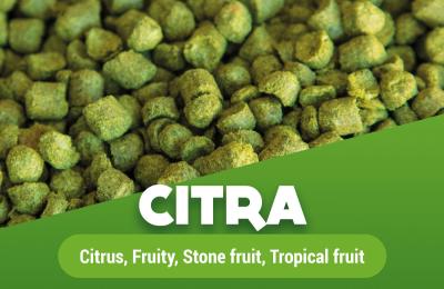 Billede af - Humle - Citra - Piller/Pellets - 100 g - 13,4% A.A.