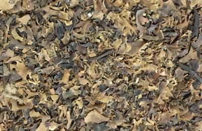 Billede 2 af 2 - Irish Moss