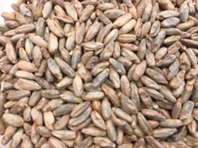 Billede af - Rug Malt - 1 kg - Økologisk