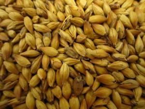 Karamel Malt - 1 kg - CARAMUNICH