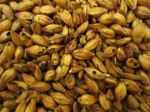 Karamel Malt - 1 kg - CARAAROMA