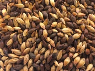 Picture of - Maltblanding - Mørk - 1 kg - Organic