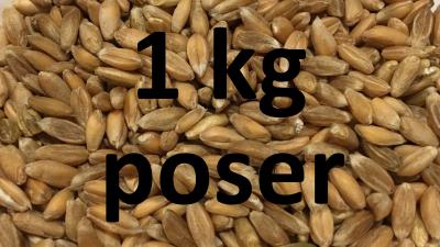 Picture of - Poser med 1 kg hele kerner - Sammensæt selv - Organic