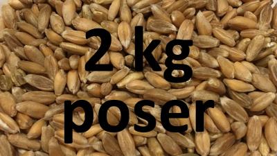 Picture of Poser med 2 kg hele kerner - Sammensæt selv - Organic