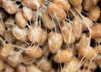 Picture of Natto starter culture - For 10 kg