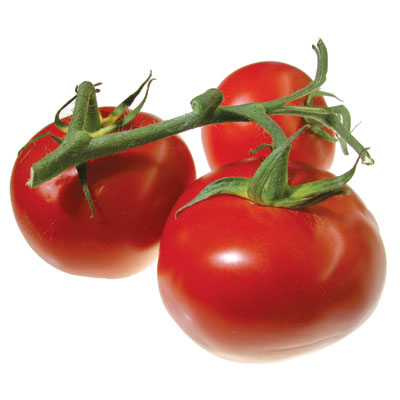 Description: Modne tomater