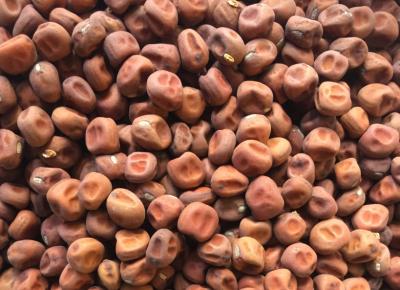 Billede af - Danske gråærter, Hele - 5 kg - Økologisk