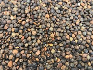 Danske Anicia-linser, Hele - 5 kg
