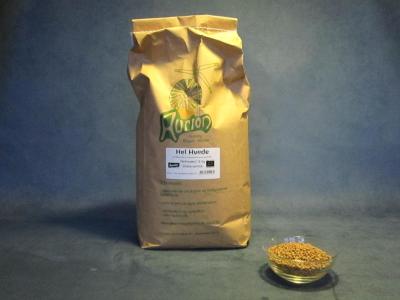 Billede af Wheat, whole grain - 5 kg - Økologisk / Demeter