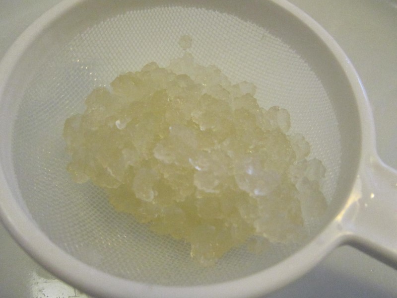 Picture of - Water kefir grains - For 3 dl - Organic