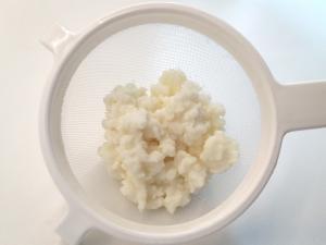 Milk kefir grains