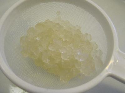 Picture of Water kefir grains - For 2 dl - Organic