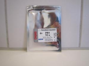 Blue cheese culture - PR-1