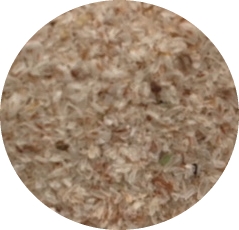 Loppefr&oslash;skaller